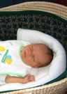 in my Moses basket